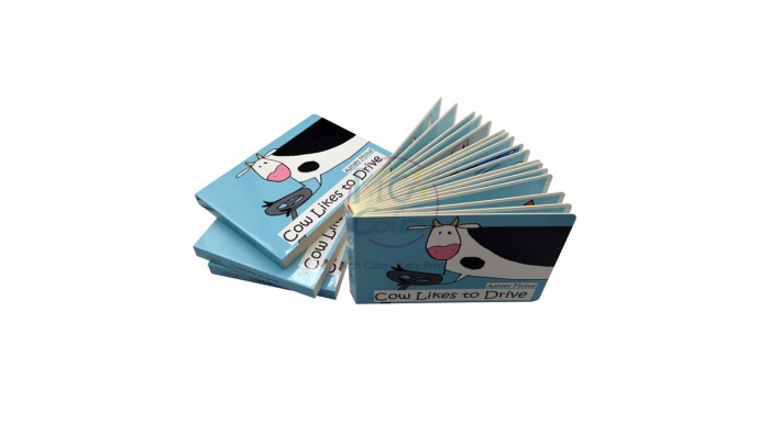 BOARD BOOK